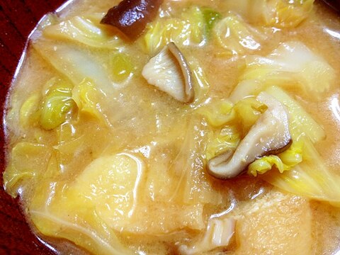 椎茸新キャベツ白菜油揚げのお味噌汁